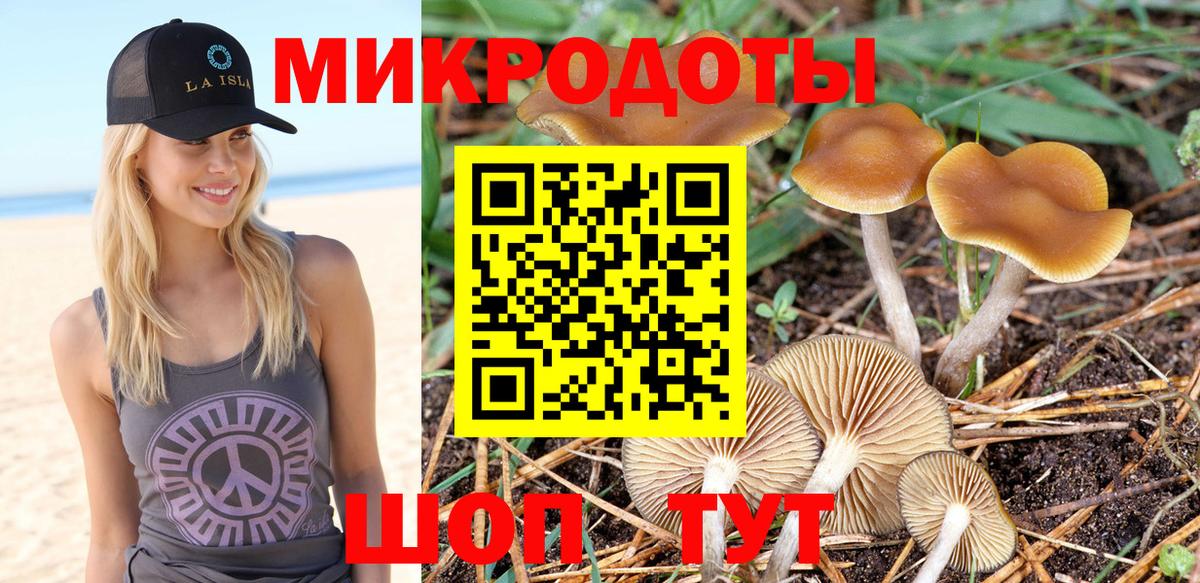 Галлюциногенные грибы мицелий Нижнекамск